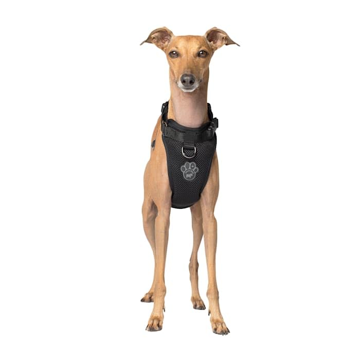 Canada Pooch Everything Dog Harness Black Mesh X-Large
