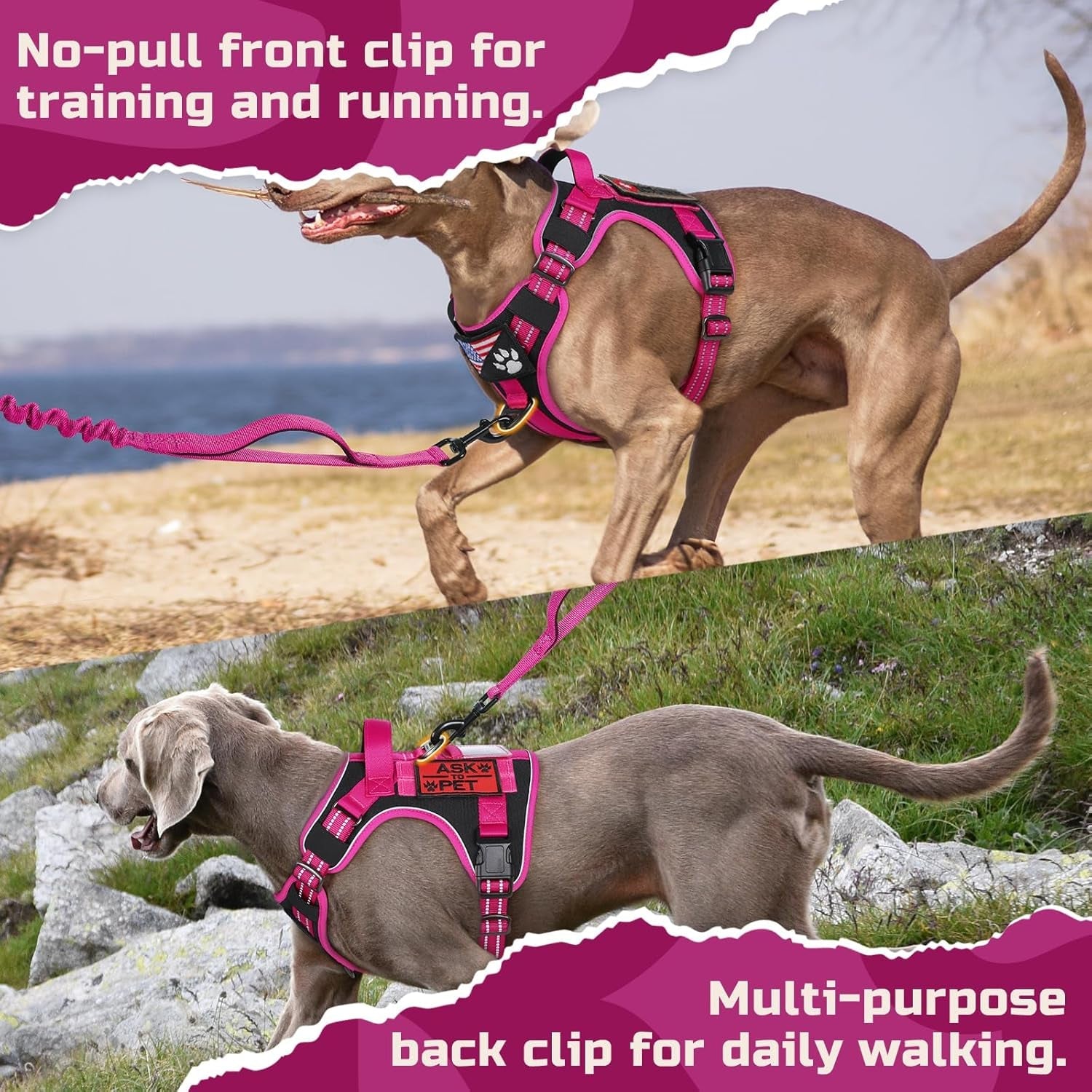 No-Pull Tactical Dog Harness MOLLE Vest for Medium & Large Dogs