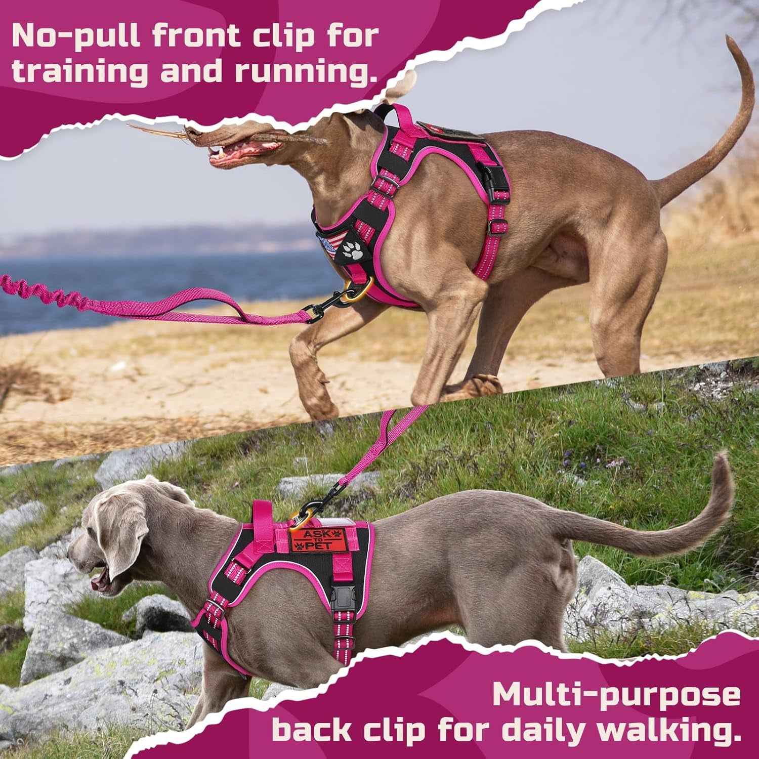 No-Pull Tactical Dog Harness MOLLE Vest for Medium & Large Dogs