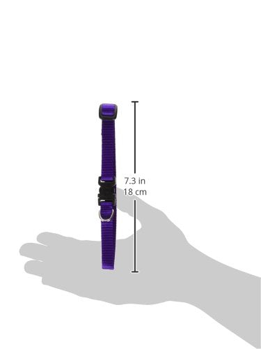 LupinePet Basics 1/2'' Purple 10-16'' Adjustable Collar for Small Dogs