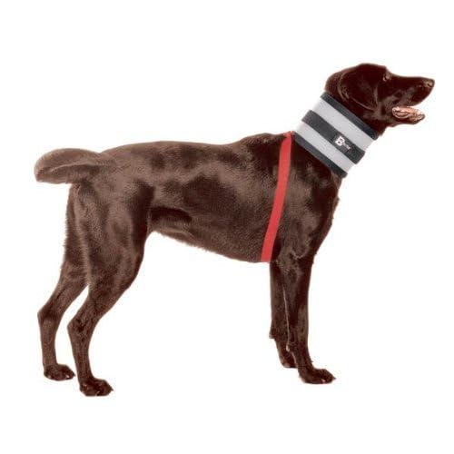Bitenot Collar, 7' W X 28' L