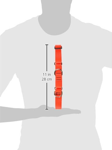 Lupinepet Basics 1' Blaze Orange 15-22' Martingale Collar For Medium And Larger Dogs