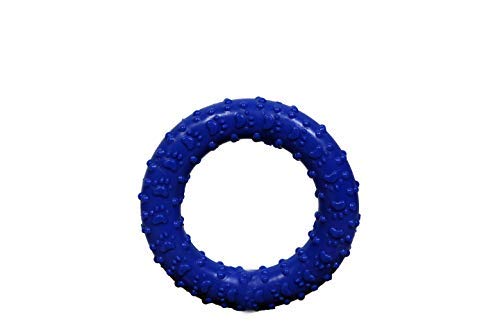 Psk Pet Mart Rubber Round Ring Chew Toy For Dogs, Puppy Teething Toy  Medium  4.5 Inch,Color  Blue