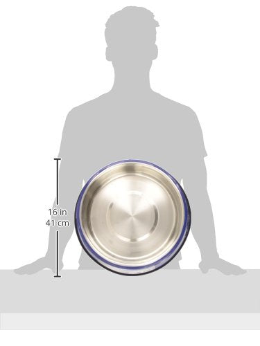 Farm Innovators Signature Series 60 Watt 5.5 Quart Electric Heated Pet Water Bowl With Stainless Steel Insert And Thermostatic C