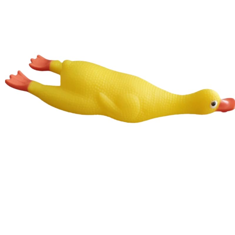 Dog Trust Latex Squeaky Duck Dog Toy, Screaming Rubber Colored Duck Toy for Medium Breeds with Multicolor Pack of 1