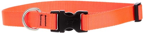 LupinePet Basics 3/4 Blaze Orange 13-22 Adjustable Collar for Medium and Larger Dogs