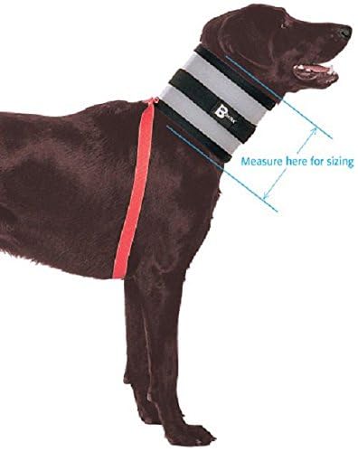 Bitenot Collar, 7' W X 28' L