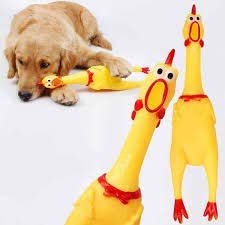 Kittupet Natural Latex Rubber Squeaky Big Chicken Toy, Durability & Safety For Dog, Interactive Toy, Unlock The Ultimate Fun For