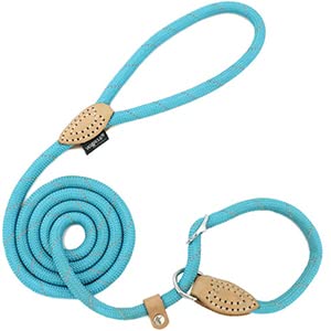 Grand Line Slip Lead Dog Leash, 5Ft Reflective Slip Rope, Puppy Training Walking Controlling Lead, Slip Collar Pet Leash For Small, Medium, Large Dogs (Blue, Large-3/5In X 5Ft)