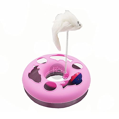 The Pets Company Cat Toys For Indoor Cats,Interactive Kitten Toys Roller Tracks With Catnip Spring Pet Toy With Exercise Balls T