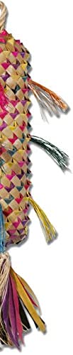 Planet Pleasures Spiked Pinata Sale Pinatas Natural Bird Toy, X-Large/17