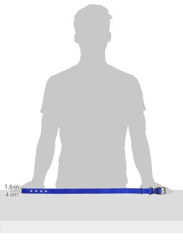 Hamilton Double Thick Nylon Deluxe Dog Collar, 1-Inch by 28-Inch, Blue
