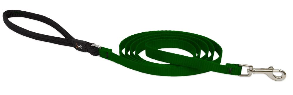 LupinePet Basics 1/2 Green 6-foot Padded Handle Leash for Small Pets
