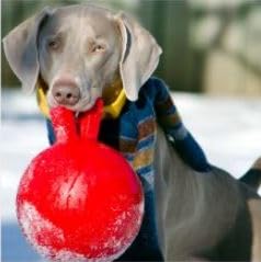 Tug N Toss Jolly Balls 4.5In Asst