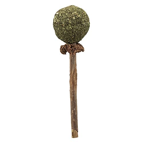 Woofy Cat Wand With Catnip Cat Teaser Toys Chewing Toy Molar Toy Cat Chasing Toy Teeth Cleaning Dental Toy Cat Treats Interactiv