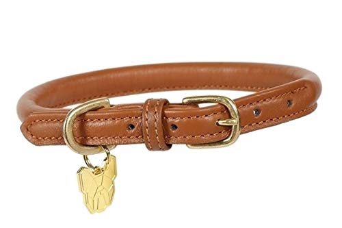 Digby & Fox Rolled Leather Dog Collar (Xx-Large, Tan)