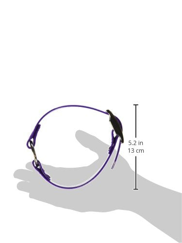 Omnipet Sunglo Ring-In-Center Dog Collar, 1' Wide, Purple, Fits 12'- 15.5' Neck Sizes, Vibrant Colors & Tough Construction Fo