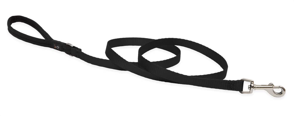 LupinePet Basics 1/2 Black 4-foot Padded Handle Leash for Small Pets