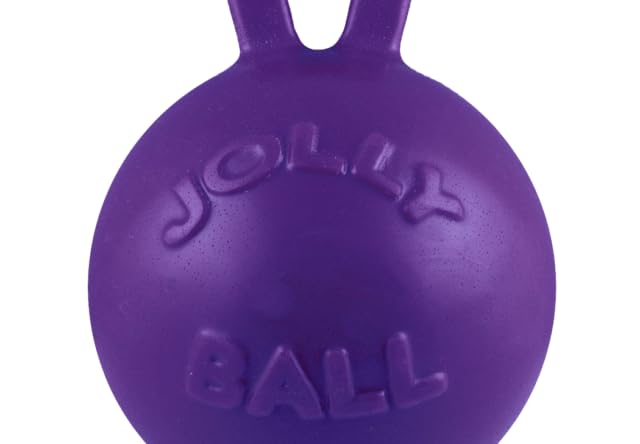 Jolly Pets Tug-N-Toss Heavy Duty Dog Toy Ball With Handle, 4 Inches/Petite, Purple (404 Pr)