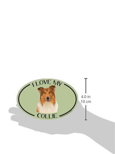 Imagine This Oval Magnet, I Love My Collie