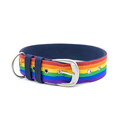 Petwale Rainbow Pride Dog Collar | Comfortable Fit | Stylish Design | Easy To Use | Recommended By Trainers | Suited For Large B