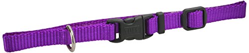 Coastal Pet Products Dcp6301Pur 3/8-Inch Nylon Adjustable Dog Collar, X-Small, Purple