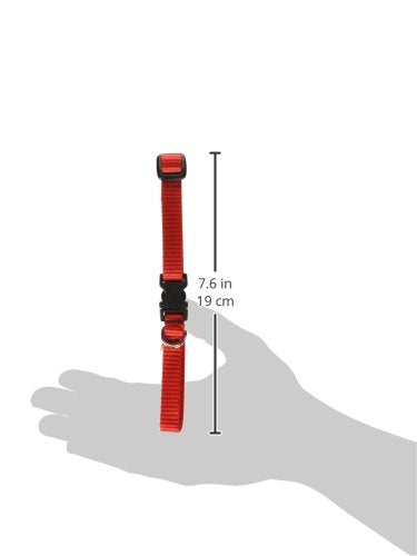 LupinePet Basics 1/2'' Red 10-16'' Adjustable Collar for Small Dogs