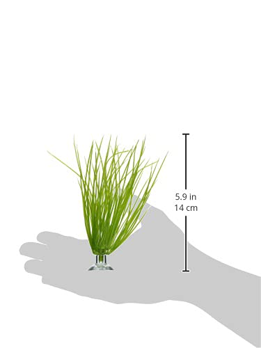 Marina Betta Kit Plastic Plant, Hairgrass