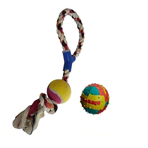 Psk Pet Mart Dog Chew Ball Rope Toy With Free Multi Color Bouncy Rubber Ball Toy For Dog Small