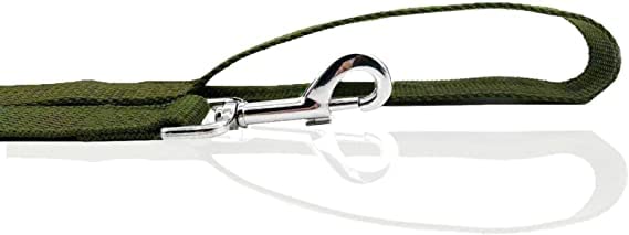 Nylon Dog Leash 8 Feet Long, Walking Training Dog Leashes For Medium Large Dogs(1'' X 8 Ft, Gree)