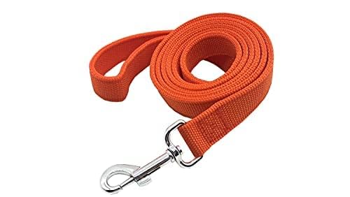 Strong Nylon Dog Leash With 2-Layer, 4 Ft/ 6 Feet Long, 1 Inch Wide For Medium Large Dogs (1' X 7 Ft, Orange)