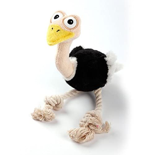 All For Paws Ultrasonic Ostrich Dog Plush Toy, Comfort Your Dogs