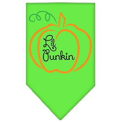 Halloween Pet and Dog Bandana Screen Printed, "Lil Punkin" Light Pink Large