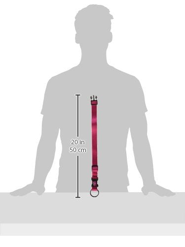 Hamilton Adjustable Nylon Dog Collar, Raspberry, 1'' x 18-26''