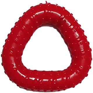 Foodie Puppies Interactive NonToxic Natural Rubber Dental Chew Biting Teething Dog And Puppies Toy (Triangle)