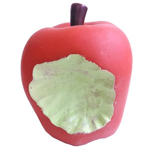 PSK PET MART Apple Shape Dog Chew Rubber Toy with Squeaky Sound for Playing and Exercise Puppies and Dogs