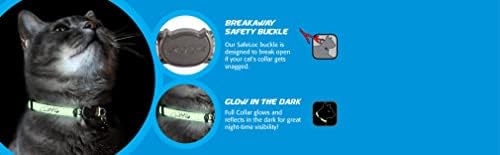 Rogz Glowcat Cat Collar With Safety Buckle Kitten/X-Small - Blue