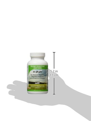 Dr. Goodpet Feline Digestive Enzymes