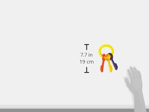 TFH LG PUPPY TEETHING KEYS N221P