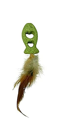 Rvpaws Natural Attractive Mint Fragrance Funny Playing Catnip Toy For Kitten & Cats (Feather Fish)