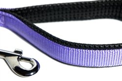 Doggie Design American River Cushion Grip Nylon Dog Leash (Royal Blue, 3/4 Inch X 5 Feet)