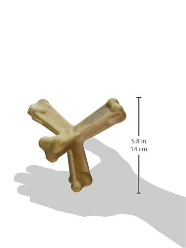 N-Bone Nbone 115097 Quado in Pumpkin, Large (575174)