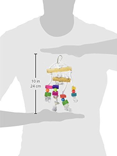 Prevue Pet Products 60935 Bodacious Bites Bird Toy, Small/Medium, Buffet