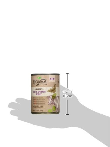Purina Beyond Grain Free, Natural Gravy Wet Dog Food, Grain Free Beef & Spinach Recipe - (12) 12.5 oz. Cans