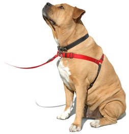 Softouch Concepts SENSE-ation No-Pull Dog Harness, Medium/Large, Mesh, Red, Model 77341
