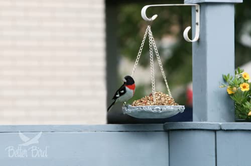 Better Bird Beautiful Bird Food, 5 Lb