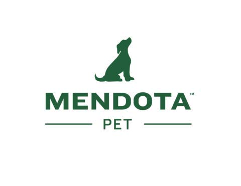Mendota Pet Dog Walker, Martingale Style Leash - Leash & Collar Combo, Made In The Usa - Jade, 1/2 In X 6 Ft - For Large Breeds