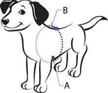 Softouch Sense-Ible No-Pull Dog Harness - Black Small