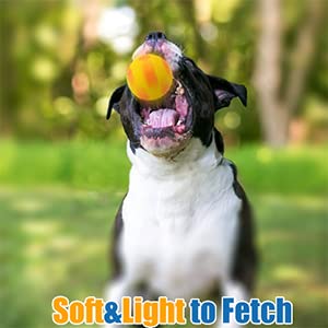 Wieppo Soft Squeaky Dog Ball 2.56”, Latex Squeaky Dog Toys For Medium Dogs And Small Dogs To Fetch, Chase 3Pcs (2.56Inch, For Medium Breeds)