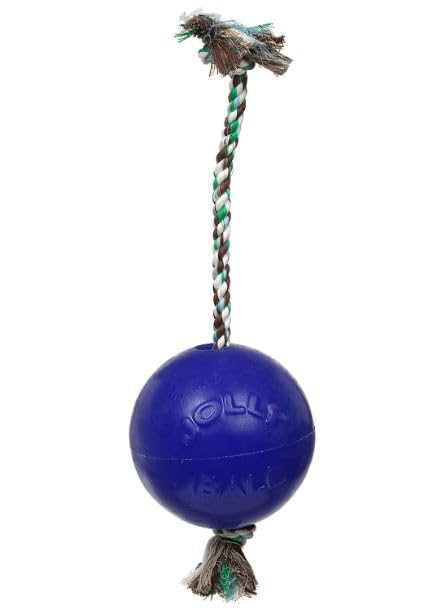 Jolly Pets Romp-N-Roll Rope And Ball Dog Toy, 4.5 Inches/Small, Blue (645 Bl), For Small Breeds